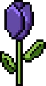 Twilight Tulip