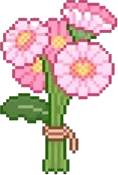 Pink Gerberas