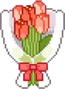 Coral Tulips