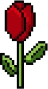 Crimson Rose