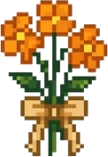 Marigold Bundle