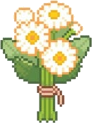 Meadow Daisies